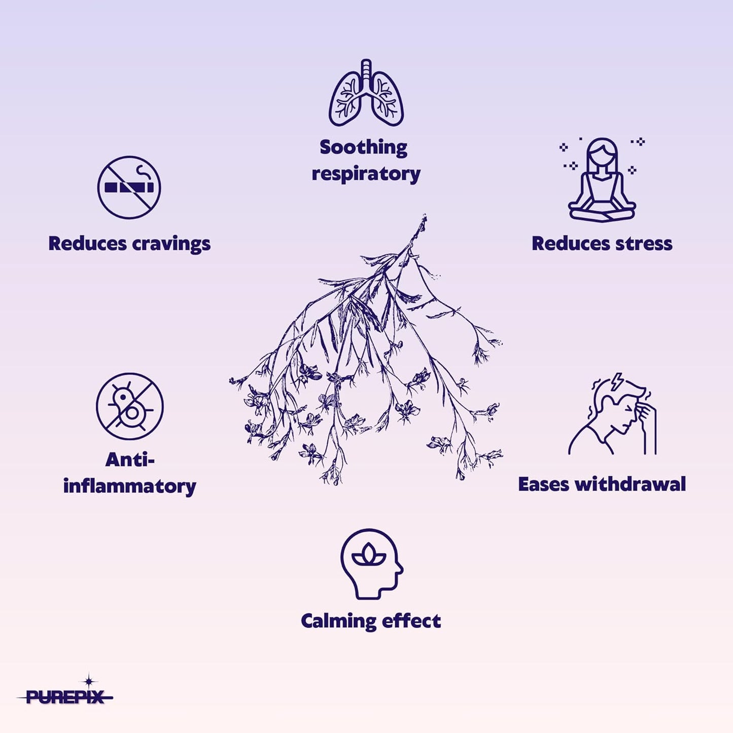 CZTICLE® Help Quit Smoking Extra Thick Boosting Flavored Toothpicks with Lobelia to Help Quit Smoking - Oral Fixation - Nicotine Free Toothpicks - 4 Flavors Kosher Variety Pack