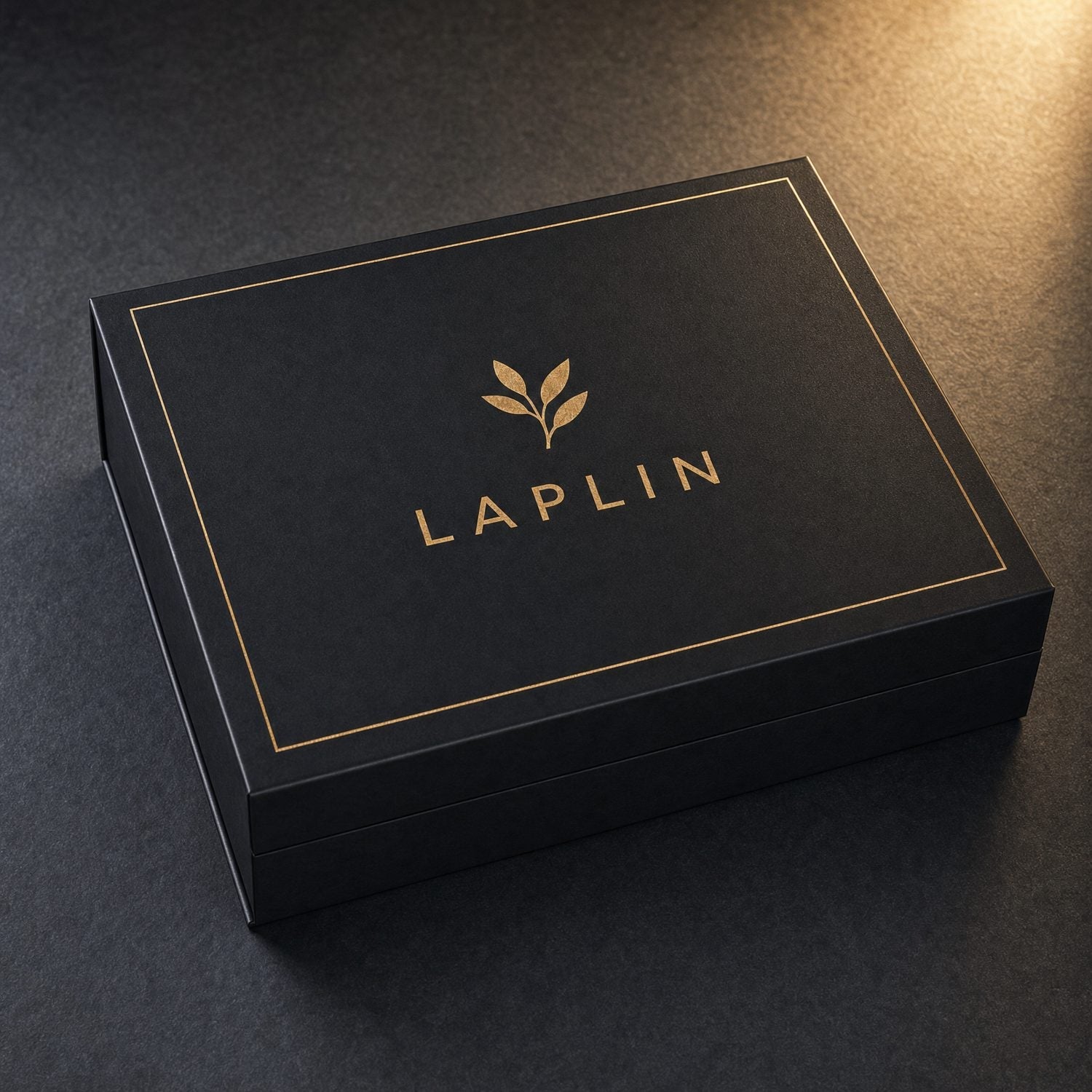 The closed LAPLIN keepsake case.