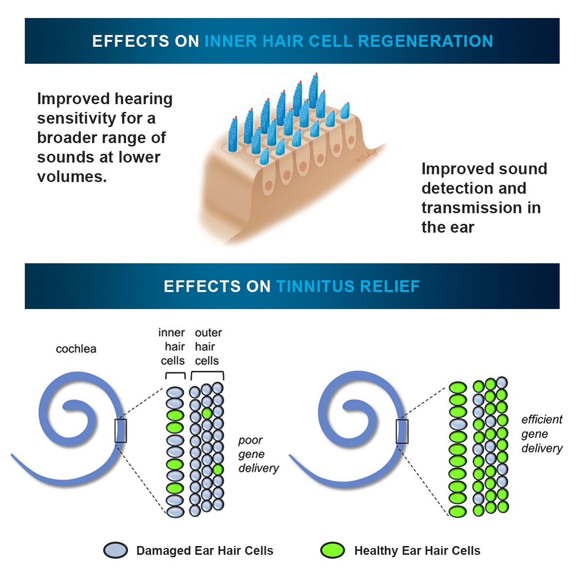š„70%offš„ Dafeilaā¢ ProWave Tinnitus Relief Penš