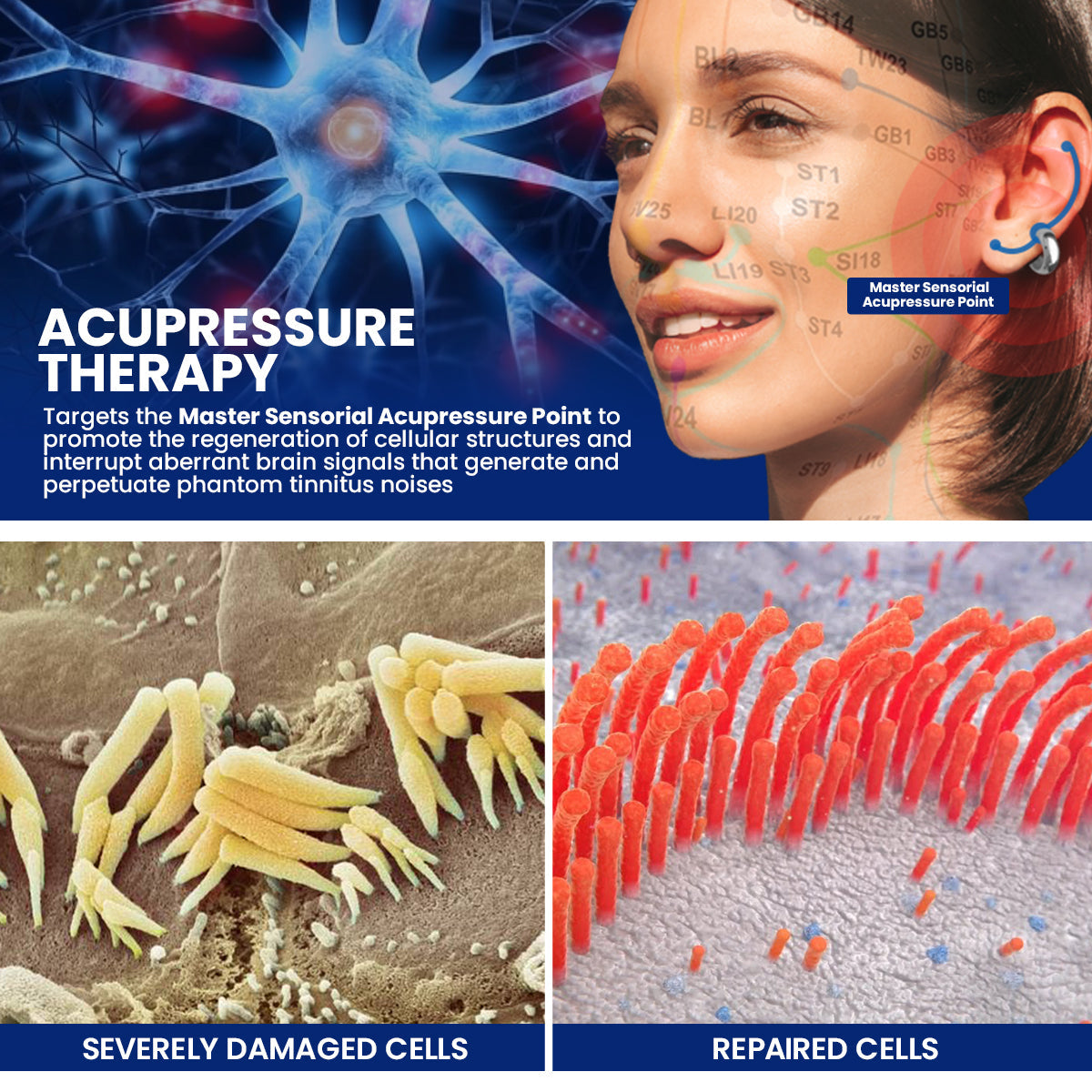 Dafeilaā¢ Acupressure Tinnitus Relief Earringš¤