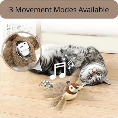 CILIFER® Interactive  Bird Cat Toy