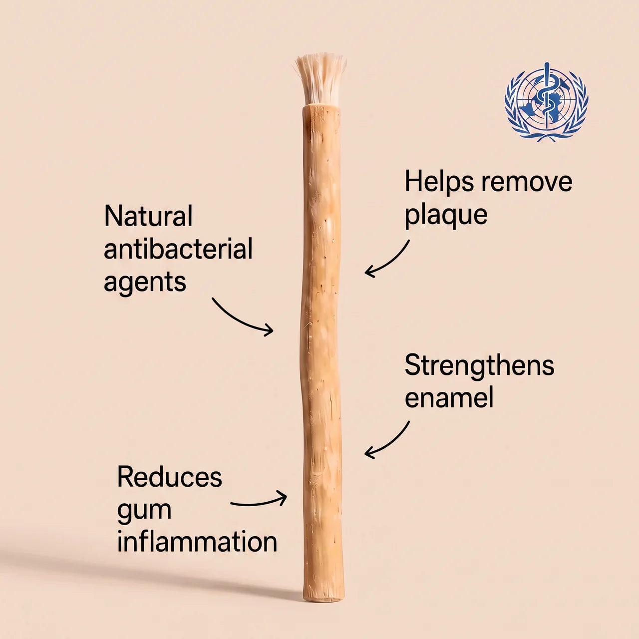Nature's Original Toothbrush – Natural Oral Care for a Cleaner Smile