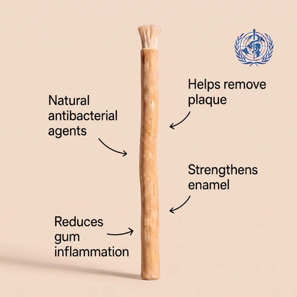 Nature's Original Toothbrush – Natural Oral Care for a Cleaner Smile