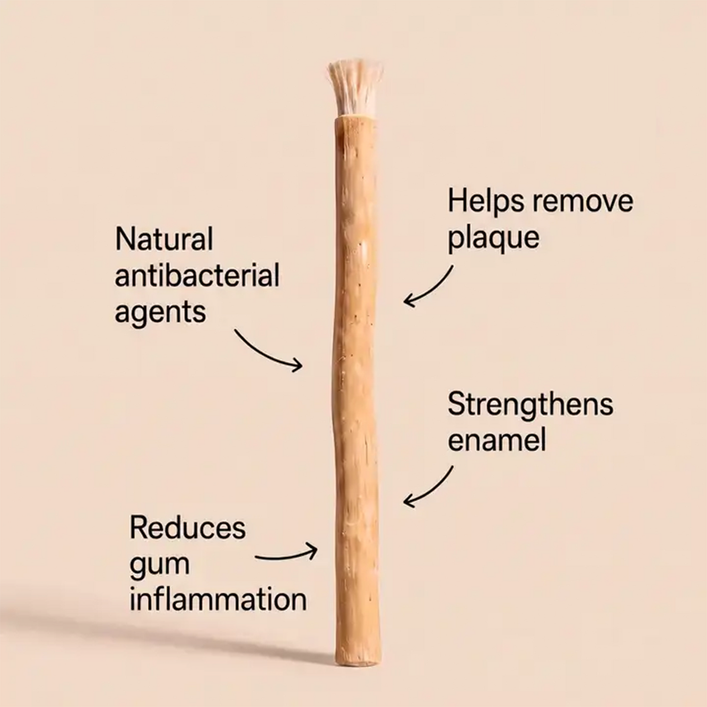Nature's Original Toothbrush – Natural Oral Care for a Cleaner Smile
