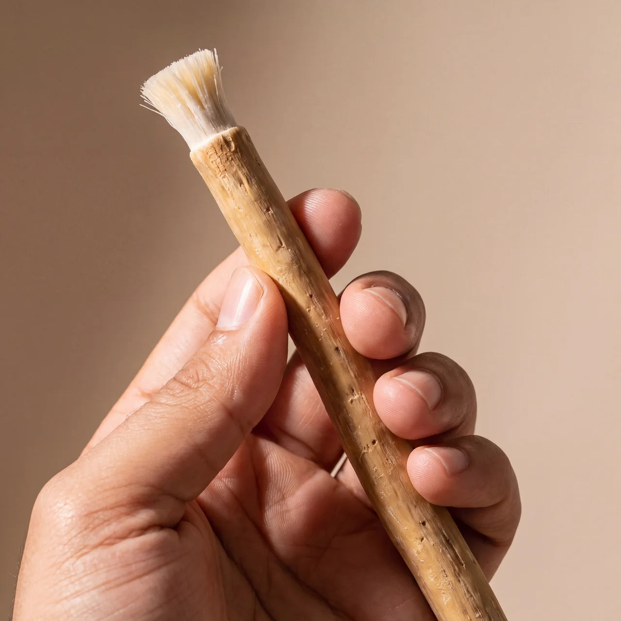 Nature's Original Toothbrush – Natural Oral Care for a Cleaner Smile