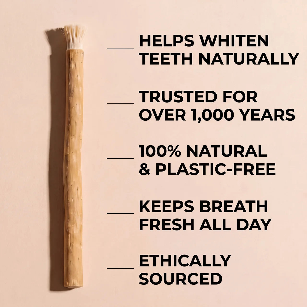 Nature's Original Toothbrush – Natural Oral Care for a Cleaner Smile