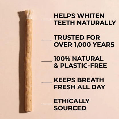 Nature's Original Toothbrush – Natural Oral Care for a Cleaner Smile