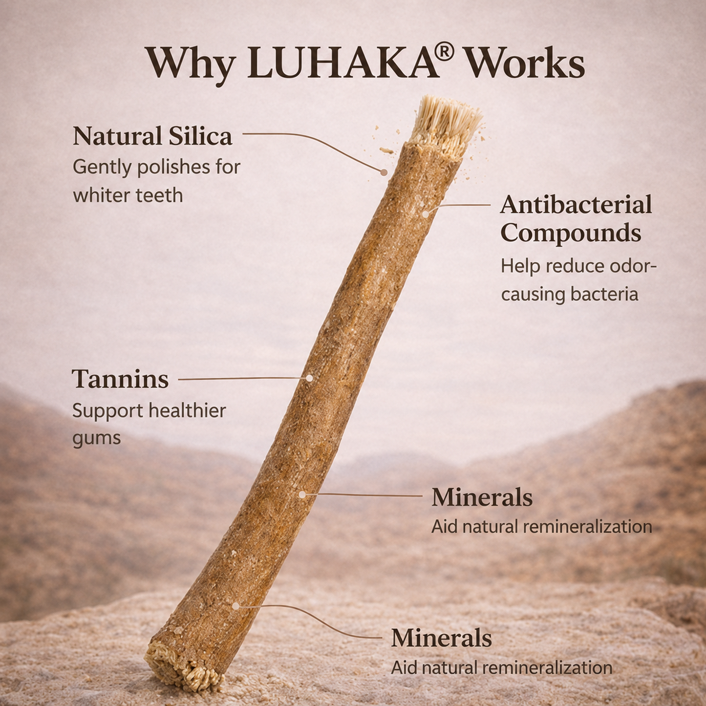 Nature's Original Toothbrush – Natural Oral Care for a Cleaner Smile