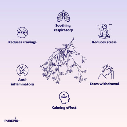 CZTICLE® Help Quit Smoking Extra Thick Boosting Flavored Toothpicks with Lobelia to Help Quit Smoking - Oral Fixation - Nicotine Free Toothpicks - 4 Flavors Kosher Variety Pack