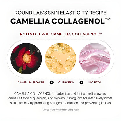 LUHAKA® Camellia Deep Collagen V Lifting Gel Mask 14EA