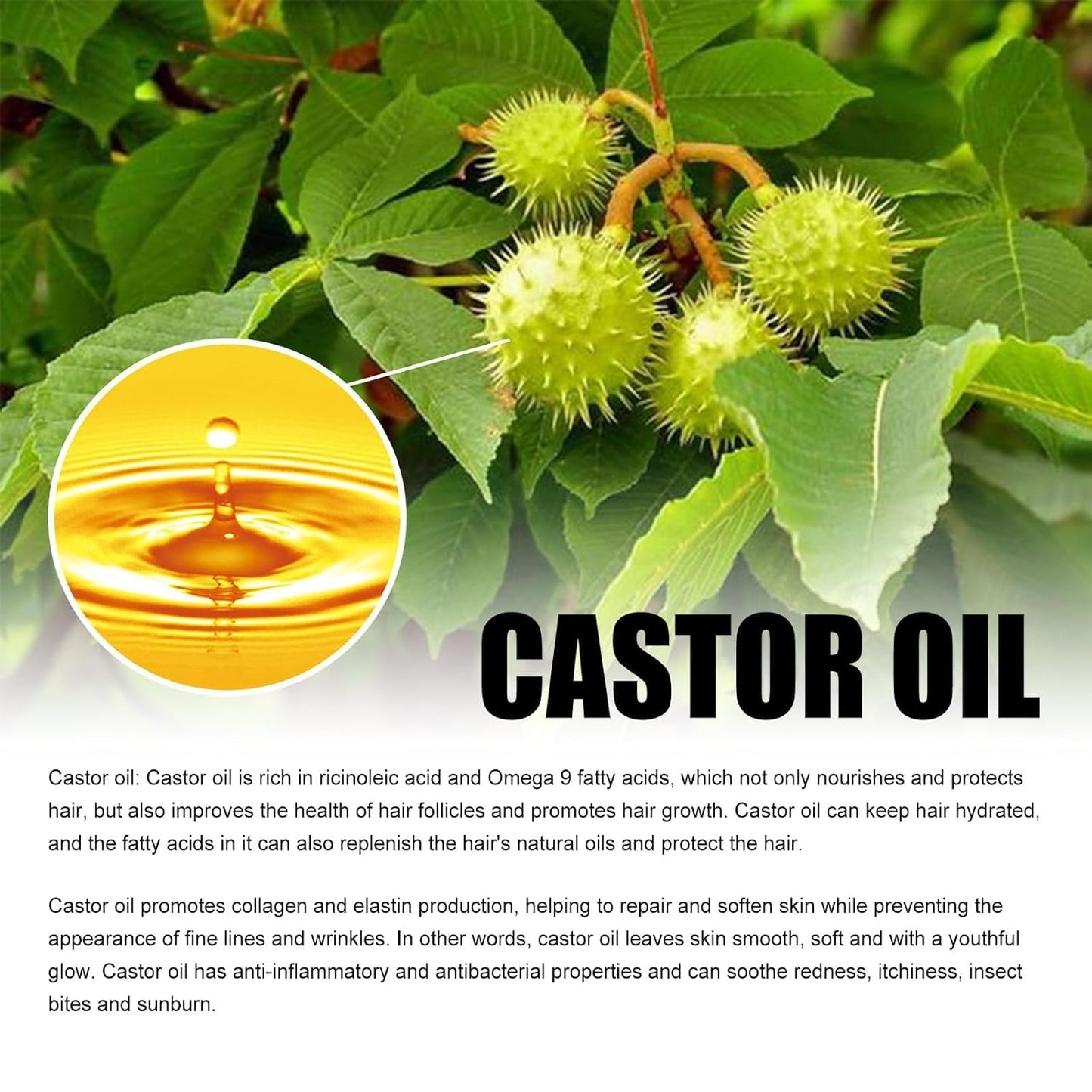 LUHAKA®Castor Oil 2 OZ- Aceite de Ricino - Cold Pressed 100% Pure. Certified Organic. Hexane Free for Eyelashes. Eyebrows. Beard. Hair Growth Women and Men