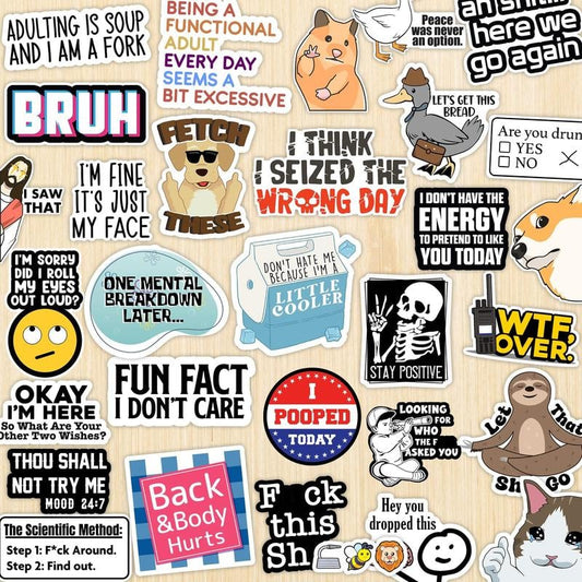 CILIFER® 130 Pcs Funny Saying Stickers (🎁BUY 1 FREE 1)