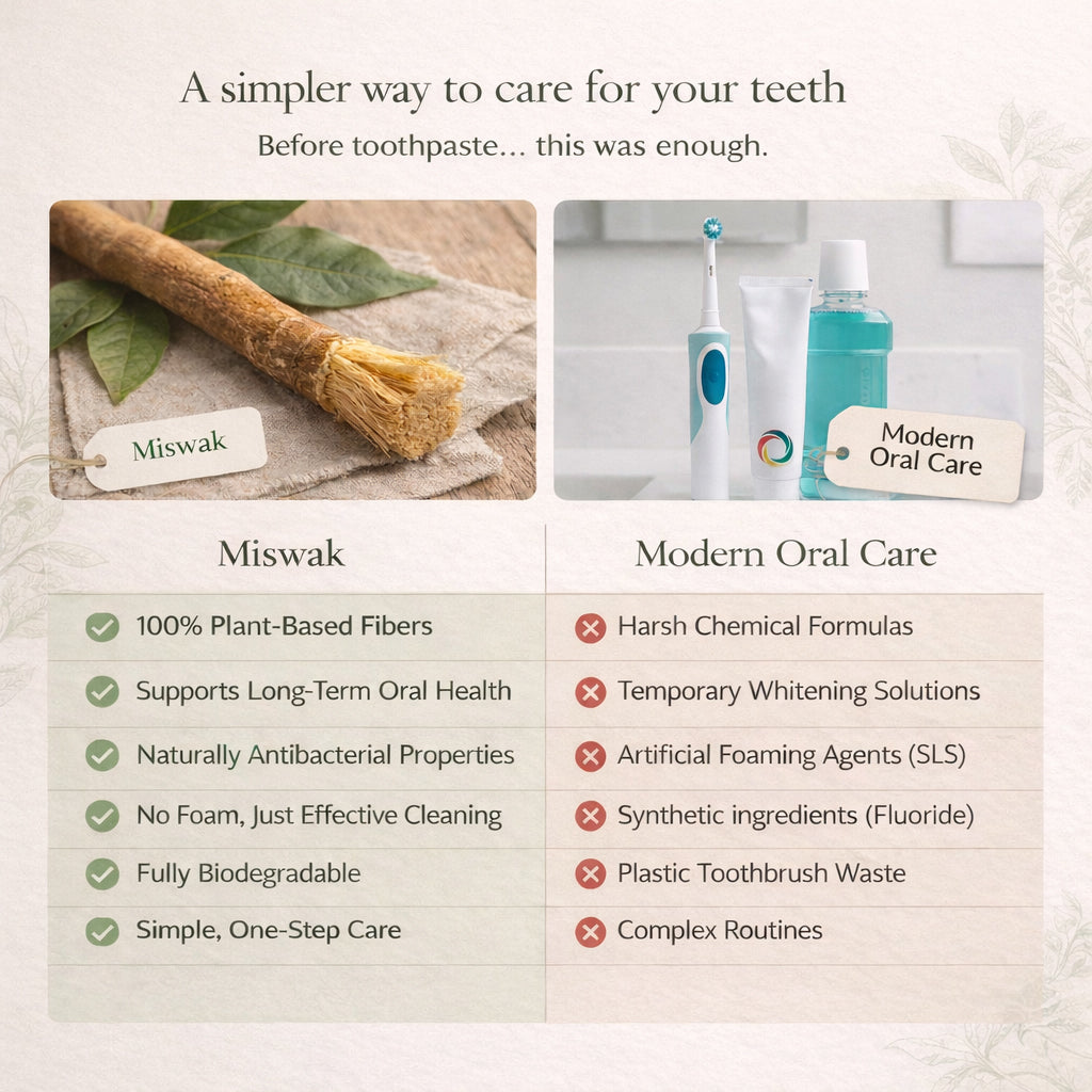 Nature's Original Toothbrush – Natural Oral Care for a Cleaner Smile