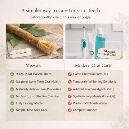 Nature's Original Toothbrush – Natural Oral Care for a Cleaner Smile