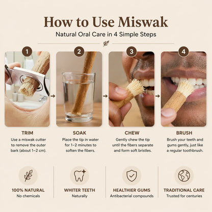 Nature's Original Toothbrush – Natural Oral Care for a Cleaner Smile
