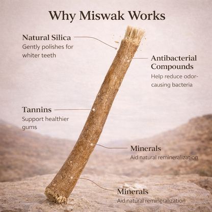Nature's Original Toothbrush – Natural Oral Care for a Cleaner Smile