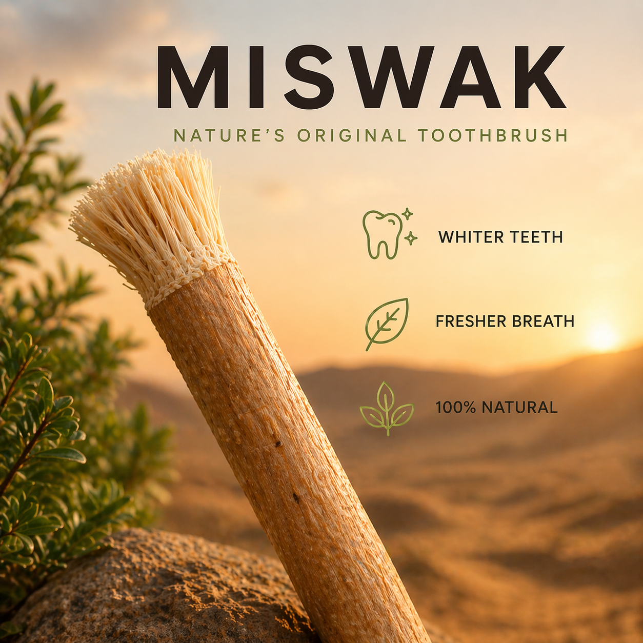 Nature's Original Toothbrush – Natural Oral Care for a Cleaner Smile