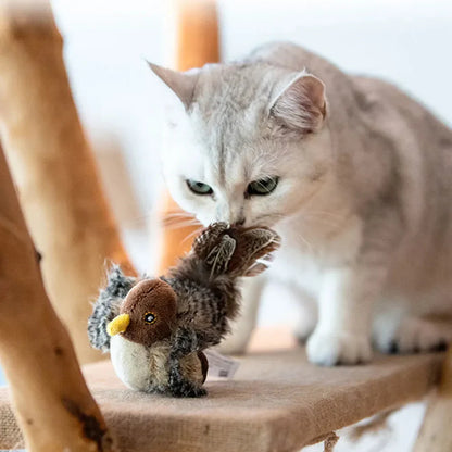 CILIFER® Interactive  Bird Cat Toy