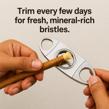 Nature's Original Toothbrush – Natural Oral Care for a Cleaner Smile